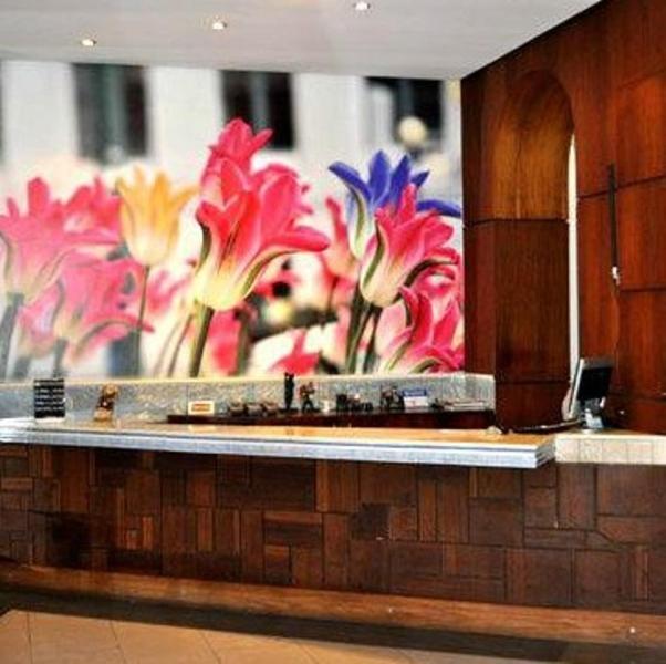 Feira Plaza Hotel Фейра-ди-Сантана Экстерьер фото